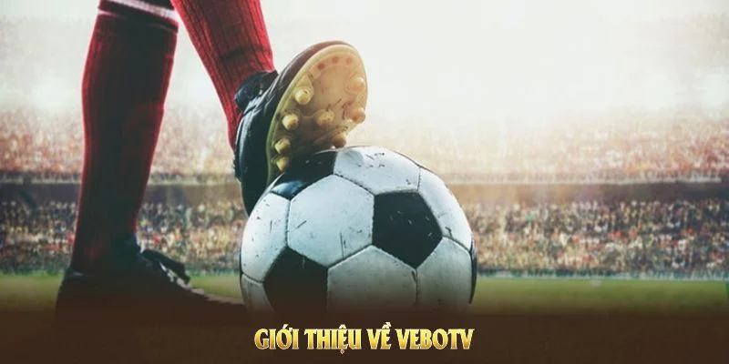 Giới thiệu về VeboTV, nền tảng bóng đá thu hút người hâm mộ